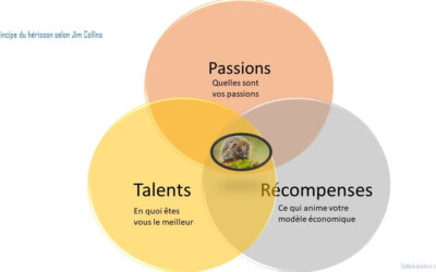 Connaissez vous le principe du hérisson de Jim Collins?