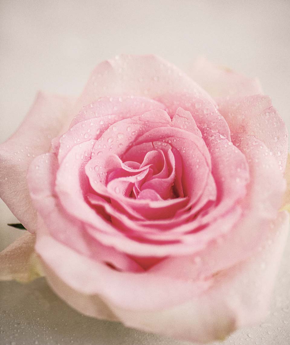 Accompagnement couples et intimité