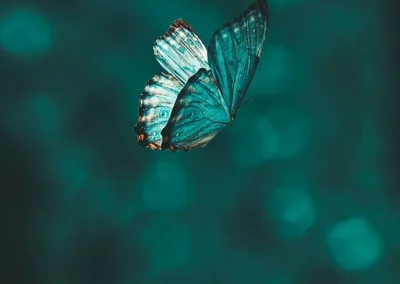 Coaching – Carnet de 7 séances