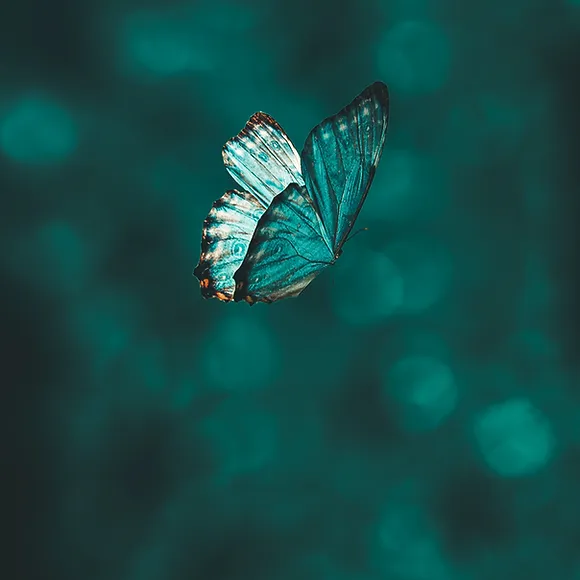 Coaching – Carnet de 7 séances