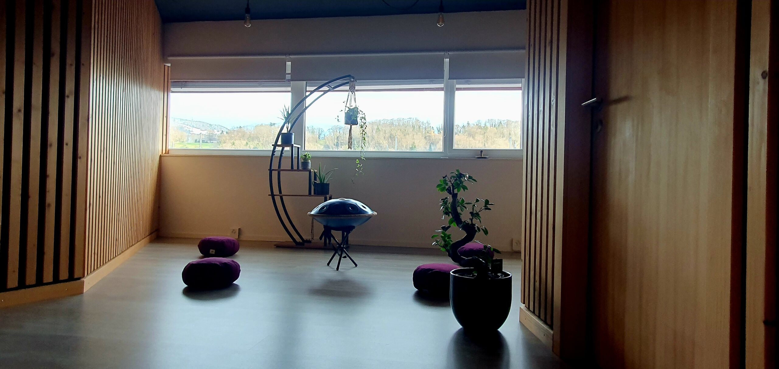 fabricetherapeute cabinet à Puidoux