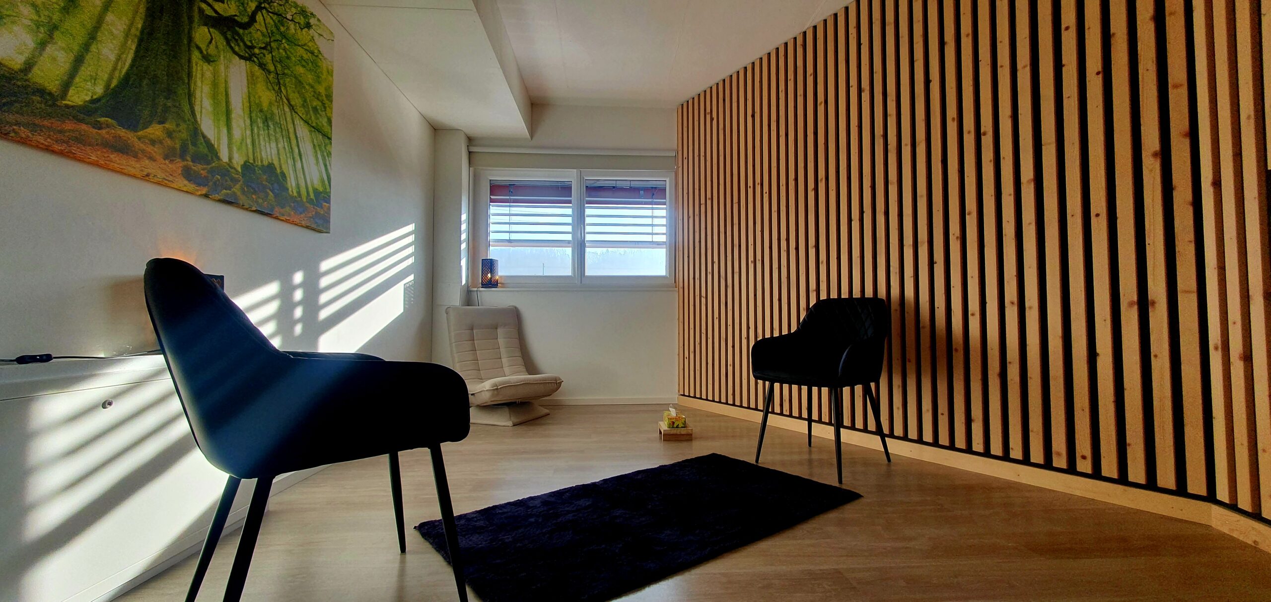 fabricetherapeute cabinet à Puidoux