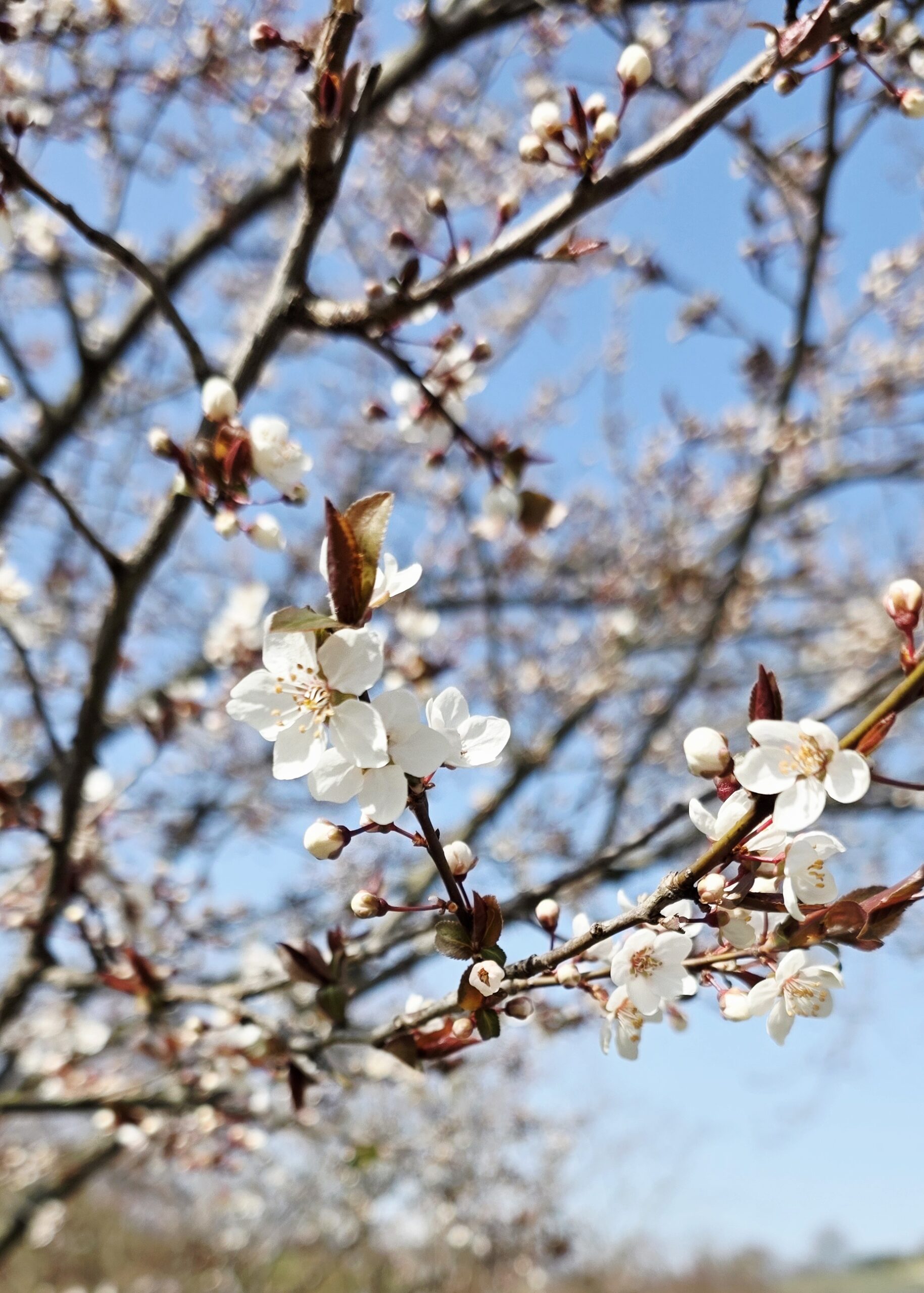 Cabinet de Fabrice Nicolot, thérapeute à Puidoux