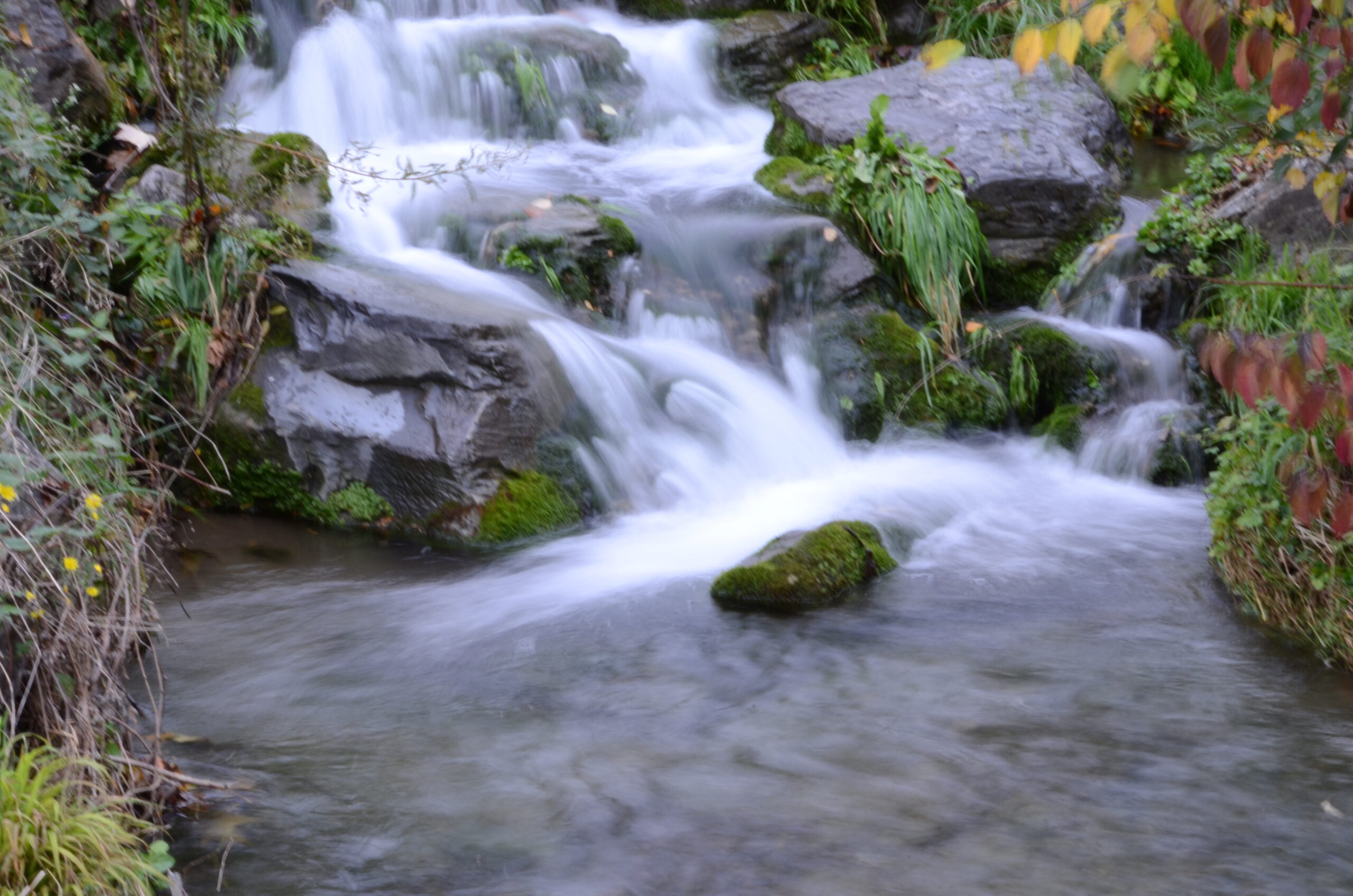 Thérapie en nature avec Fabrice Nicolot